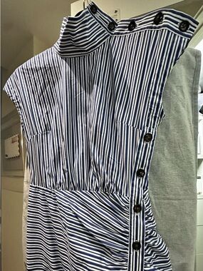 Veronica Beard Blue and White Striped Side Button Dress